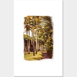 Palms in Tropical Garden Posters and Art